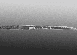 在銘「助宗」:短刀(錆有)